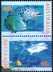 Wrasse & Trevally