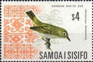 Samoan White-eye (Zosterops samoensis)