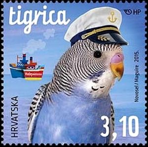 Budgerigar (Melopsittacus undulatus)