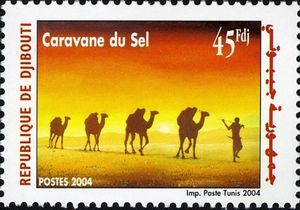 Camel Caravan