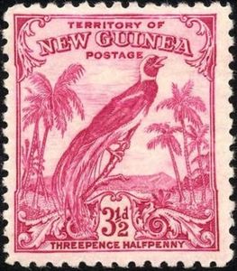 Raggiana Bird-of-paradise (Paradisaea raggiana)