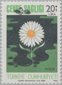 Soil Contamination by Oil