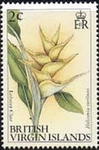 Lobster Claw (Heliconia caribaea)