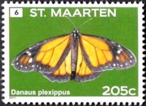 Monarch (Danaus plexippus)