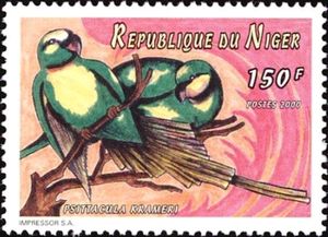 Rose-ringed Parakeet (Psittacula krameri)