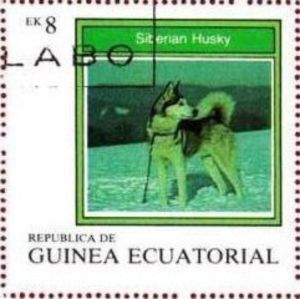 Stamp Siberian Husky Canis Lupus Familiaris Equatorial Guinea Stamp Siberian Husky Canis Lupus Familiaris Equatorial Guinea