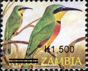 Little Bee-eater (Merops pusillus)