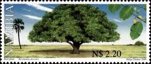 Stamp: Berchemia discolor (Namibia(Fruit Trees) Mi:NA 1030,Sn:NA 975,Yt ...