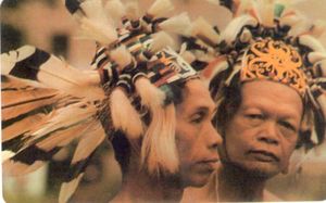 Perfetta - 2 Indian Faces