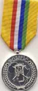 Force Multinational Medal