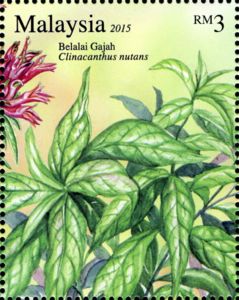 Stamp: Sabah Snake Grass (Clinacanthus nutans) (Malaysia(Medicinal plants  Series III) Mi:MY 2163,WAD:MY004.2015