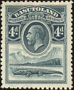 Nile Crocodile (Crocodylus niloticus) and River Scene