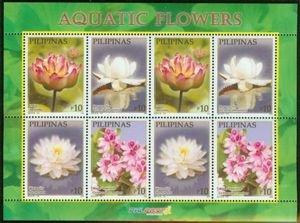 Aquatic Flowers of the Philippines