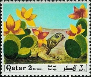 Lizard (Leiocephalus sp.) and Cactus