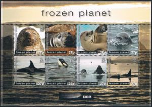 Frozen Planet - Whales, seals