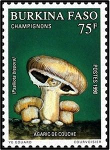 Stamp: Psalliota bispora (Burkina Faso(Fungi) Mi:BF 1236