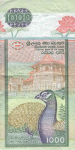 94 Gambar Burung Merak Dari Uang Kertas Gratis Terbaru