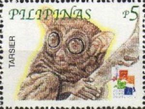 Philippine Tarsier (Carlito syrichta)