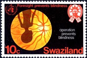 WHO emblem and retina