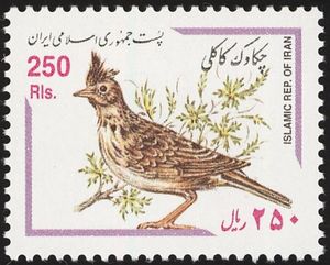 Crested Lark (Galerida cristata)