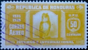 Flammulated Owl (Otus flammeolus) 