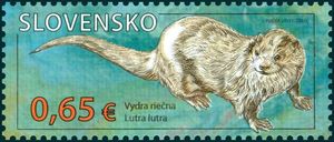Eurasian Otter (Lutra lutra)