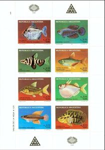 Argentine Rivers Fishes