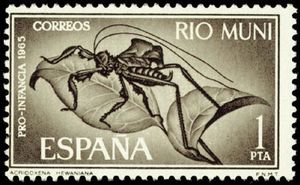 Stamp Dragonhead Grasshopper Acridoxena Hewaniana Rio Muni