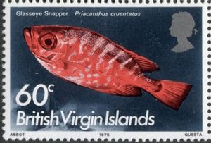 Glasseye Snapper (Priacanthus cruentatus)