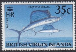 Atlantic Sailfish (Istiophorus albicans)