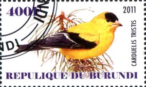 Stamp: Carduelis tristis (Burundi: Illegal Stamps(Birds) Col:BI 2011-19/4