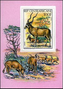 Addax (Addax nasomaculatus)