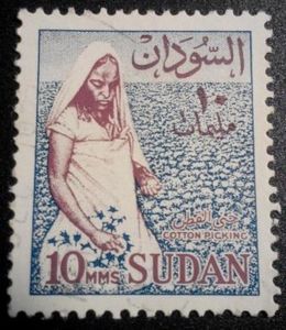 Female Cotton Picker