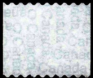 Woodchuck (Marmota monax)