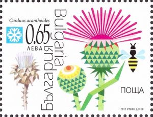 Milk Thistle (Silybum marianum)