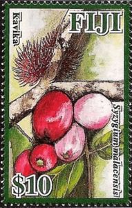 Kavika (Syzygium malacensis)