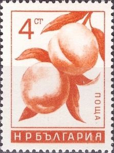 Peaches (Prunus persica)