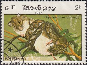 Stamp: Reticulated Python (Python reticulatus) (Laos(Reptiles) Mi:LA ...