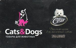 Кэтс Энд Догс Интернет Магазин
