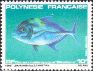 Bluefin Trevally (Caranx melampygus)