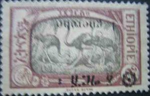 Common Ostrich (Struthio camelus) - inverted surcharge