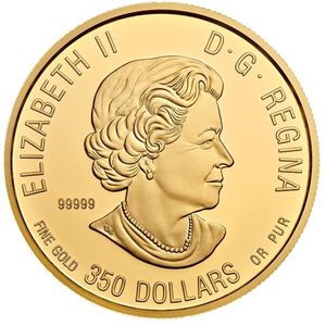 350 Dollars (The Bold Black Bear)