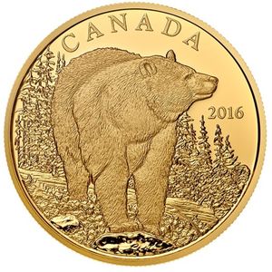 350 Dollars (The Bold Black Bear)