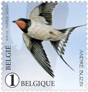 Swallow (Hirundo rustica)