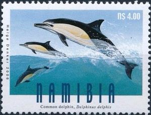 Common Dolphin (Delphinus delphis)