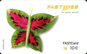 Fastcard - Butterfly