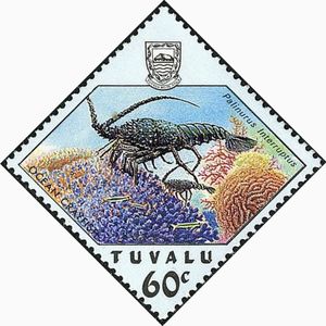 California Spiny Lobster (Palinurus interruptus)