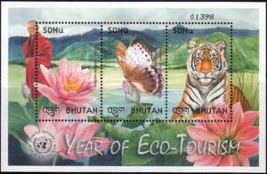 International Year of Eco Tourism