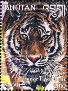 Tiger (Panthera tigris)