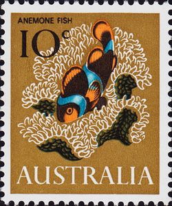 Stamp Anemone Fish Amphiprion Percula Australia Sea Life 1966 Mi Au 367 Sn Au 405 Yt Au 328 Sg Au 391 Sev Au 429 Bru Au 453